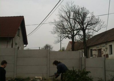 Kácení smrku u Prahy