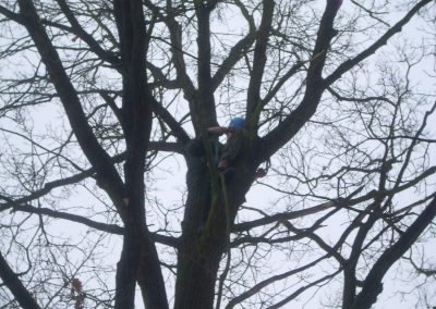 Záchrana fotografovacího letadla ze stromu u Tábora