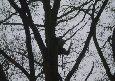 Záchrana fotografovacího letadla ze stromu u Tábora